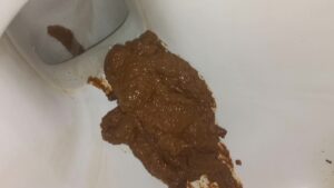 Free Scat Porn