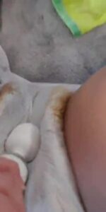 Free Scat Porn