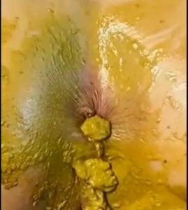 Free Scat Porn