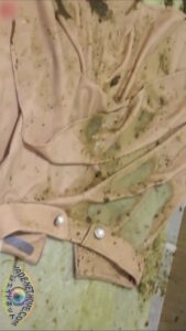 Free Scat Porn