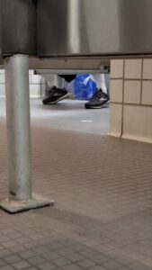 Free Scat Porn