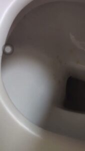 Free Scat Porn