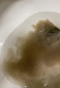 Free Scat Porn