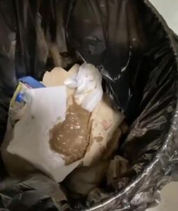 Free Scat Porn