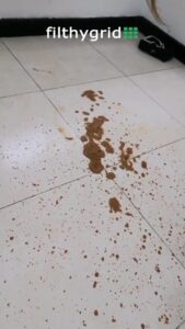 Free Scat Porn