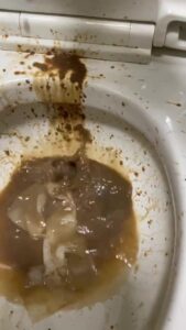 Free Scat Porn