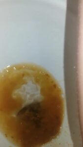 Free Scat Porn