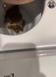 Free Scat Porn