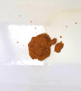 Free Scat Porn
