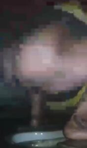 Free Scat Porn
