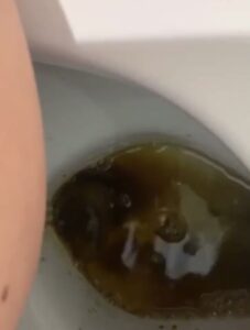 Free Scat Porn
