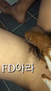 Free Scat Porn
