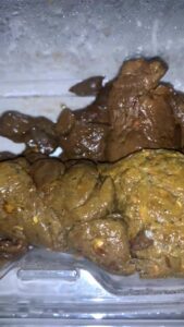 Free Scat Porn