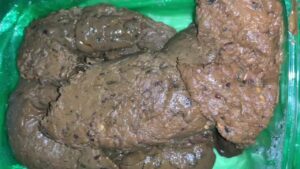 Free Scat Porn