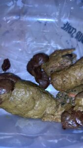 Free Scat Porn
