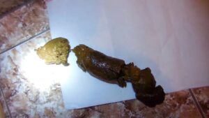 Free Scat Porn
