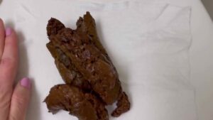 Free Scat Porn
