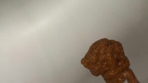 Free Scat Porn