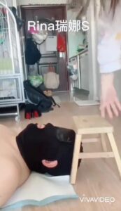 Free Scat Porn