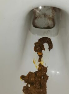 Free Scat Porn