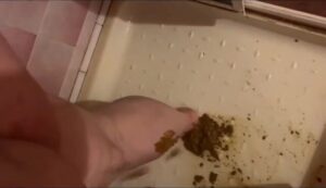 Free Scat Porn
