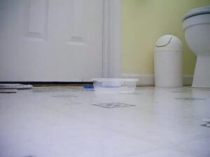 Free Scat Porn