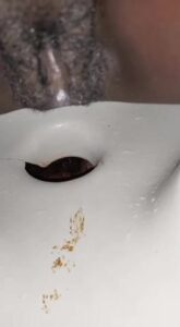 Free Scat Porn