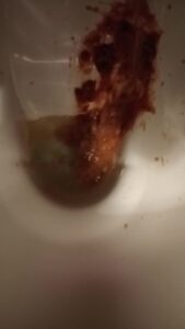 Free Scat Porn