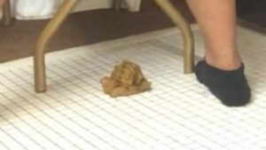 Free Scat Porn