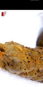 Free Scat Porn