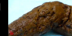 Free Scat Porn