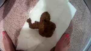 Free Scat Porn