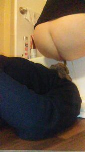 Free Scat Porn