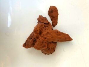 Free Scat Porn