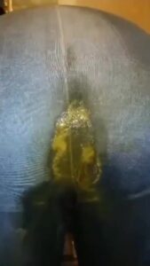Free Scat Porn