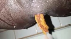 Free Scat Porn