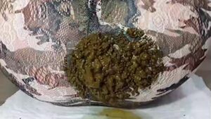 Free Scat Porn