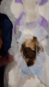 Free Scat Porn