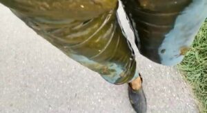 Free Scat Porn