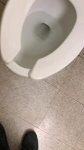 Free Scat Porn