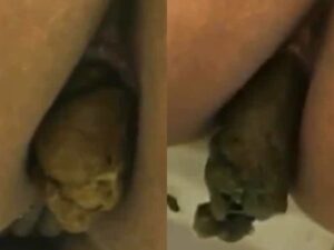Free Scat Porn