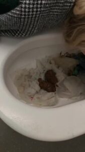 Free Scat Porn