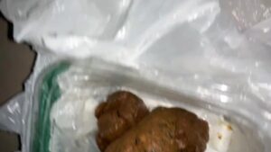 Free Scat Porn