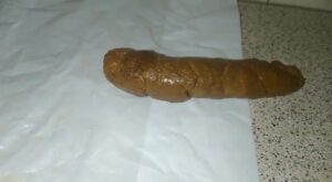 Free Scat Porn