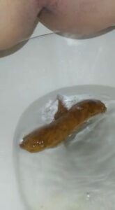 Free Scat Porn