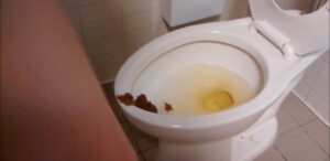 Free Scat Porn