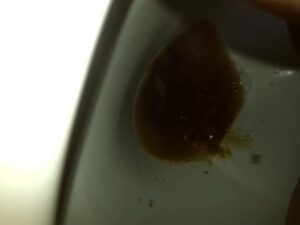 Free Scat Porn