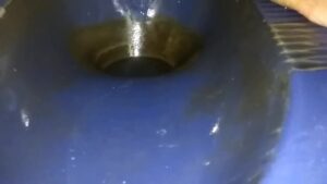 Free Scat Porn