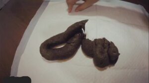 Free Scat Porn