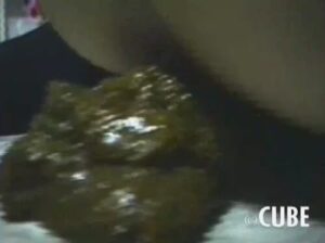 Free Scat Porn